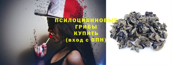 молекула духа Зеленокумск