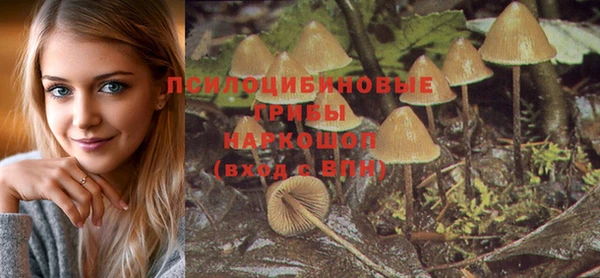 прущая мука Зеленодольск
