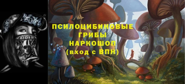 прущая мука Зеленодольск